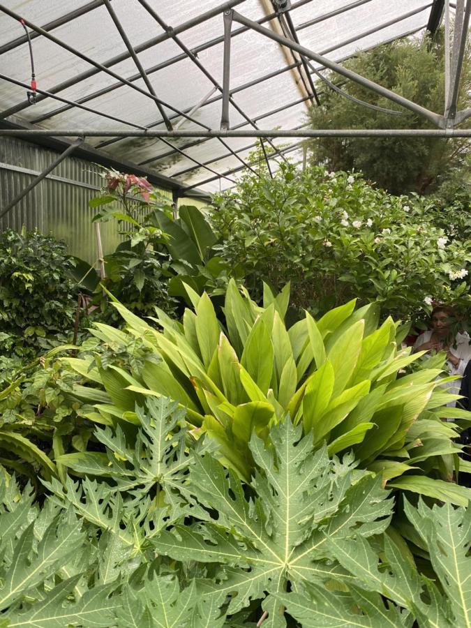 Green Hotel - Maravel Botanical Garden Spilion Bagian luar foto