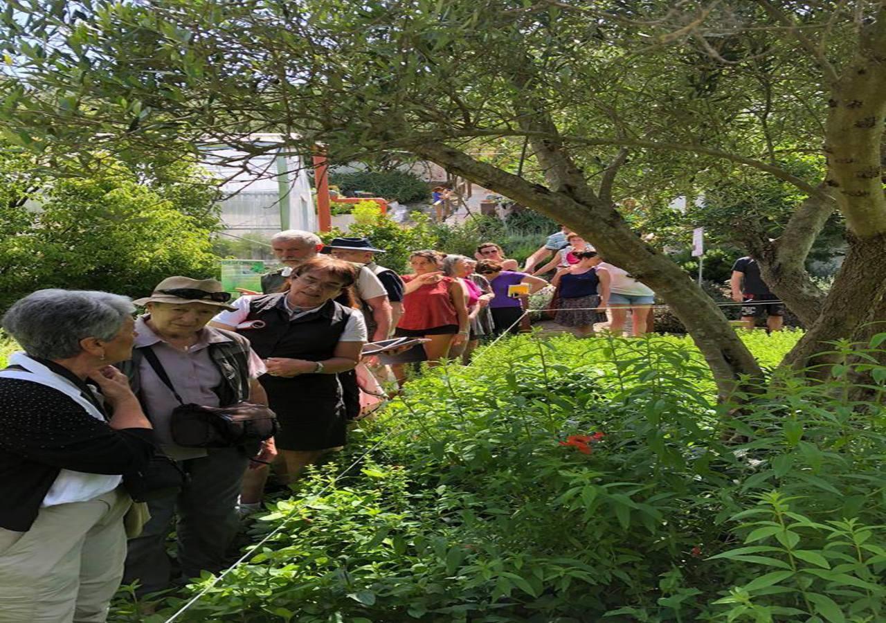 Green Hotel - Maravel Botanical Garden Spilion Bagian luar foto